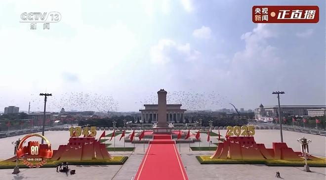 借来”的关在特殊笼子放飞有的已经到家了PG麻将胡了2模拟器8万羽和平鸽都是“(图7)