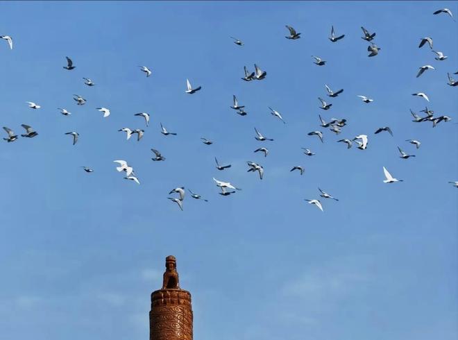 借来”的关在特殊笼子放飞有的已经到家了PG麻将胡了2模拟器8万羽和平鸽都是“(图6) 借来”的关在特殊笼子放飞有的已经到家了PG麻将胡了2模拟器8万羽和平鸽都是“(图6)