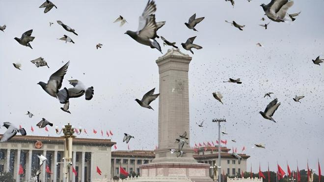 借来”的关在特殊笼子放飞有的已经到家了PG麻将胡了2模拟器8万羽和平鸽都是“(图3) 借来”的关在特殊笼子放飞有的已经到家了PG麻将胡了2模拟器8万羽和平鸽都是“(图3)