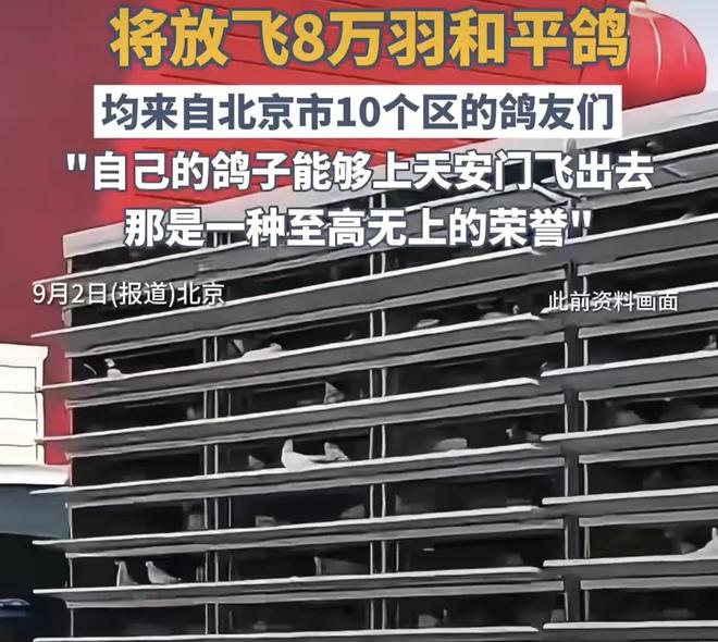 借来”的关在特殊笼子放飞有的已经到家了PG麻将胡了2模拟器8万羽和平鸽都是“(图4) 借来”的关在特殊笼子放飞有的已经到家了PG麻将胡了2模拟器8万羽和平鸽都是“(图4)