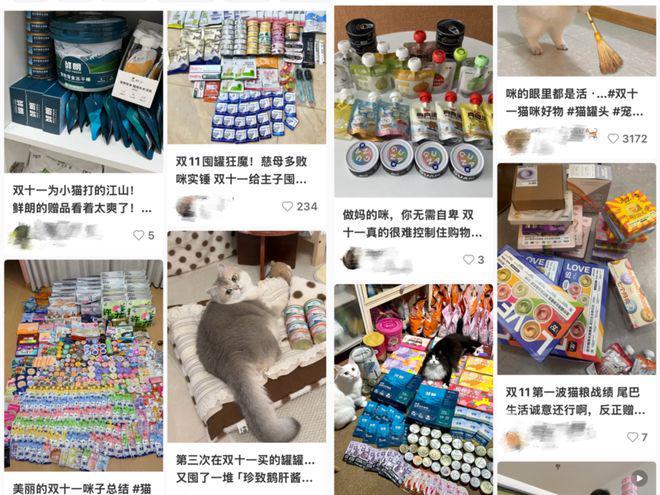 狗大市场赵露思、陈冠希纷纷加入麻将胡了试