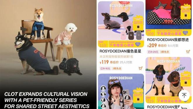 狗大市场赵露思、陈冠希纷纷加入麻将胡了试玩平台3000亿猫(图3)