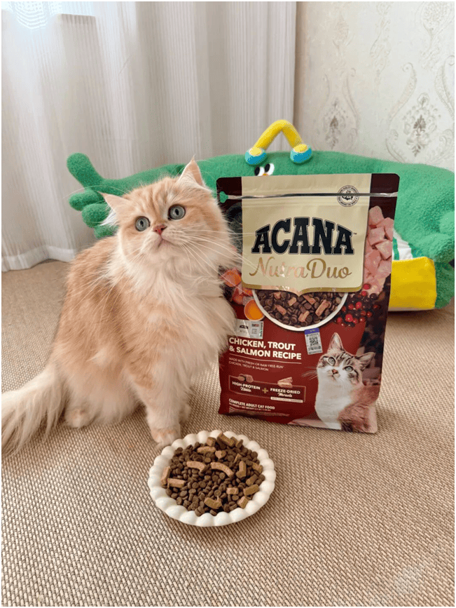 球首发“双拼倍护猫粮”巨头的中国战略再提