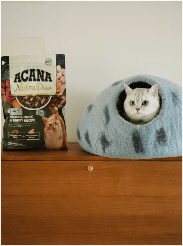 球首发“双拼倍护猫粮”巨头的中国战略再提速麻将胡了免费试玩宠物食品新闻：爱肯拿在华全(图6)